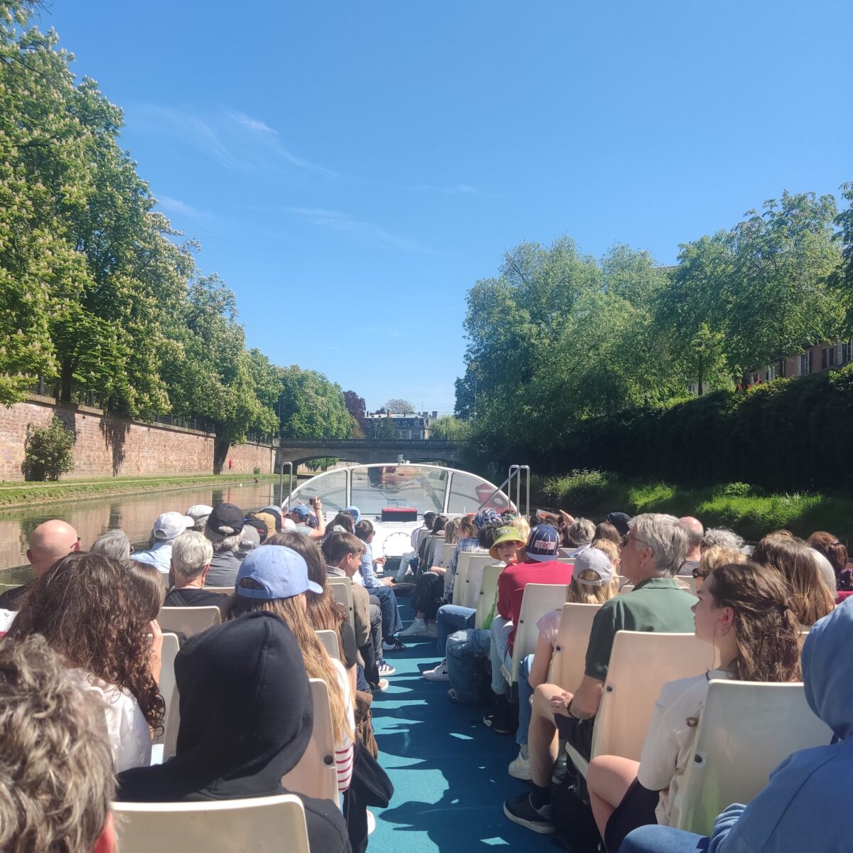 Menschen auf einem Boot bei sonnigem Wetter, umgeben von grünen Bäumen und klarem Himmel.