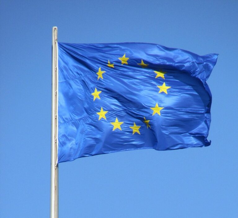 EU-Flagge weht auf Gebäude mit blauem Hintergrund. Gelbe Sterne auf Flagge. Klarer Himmel.