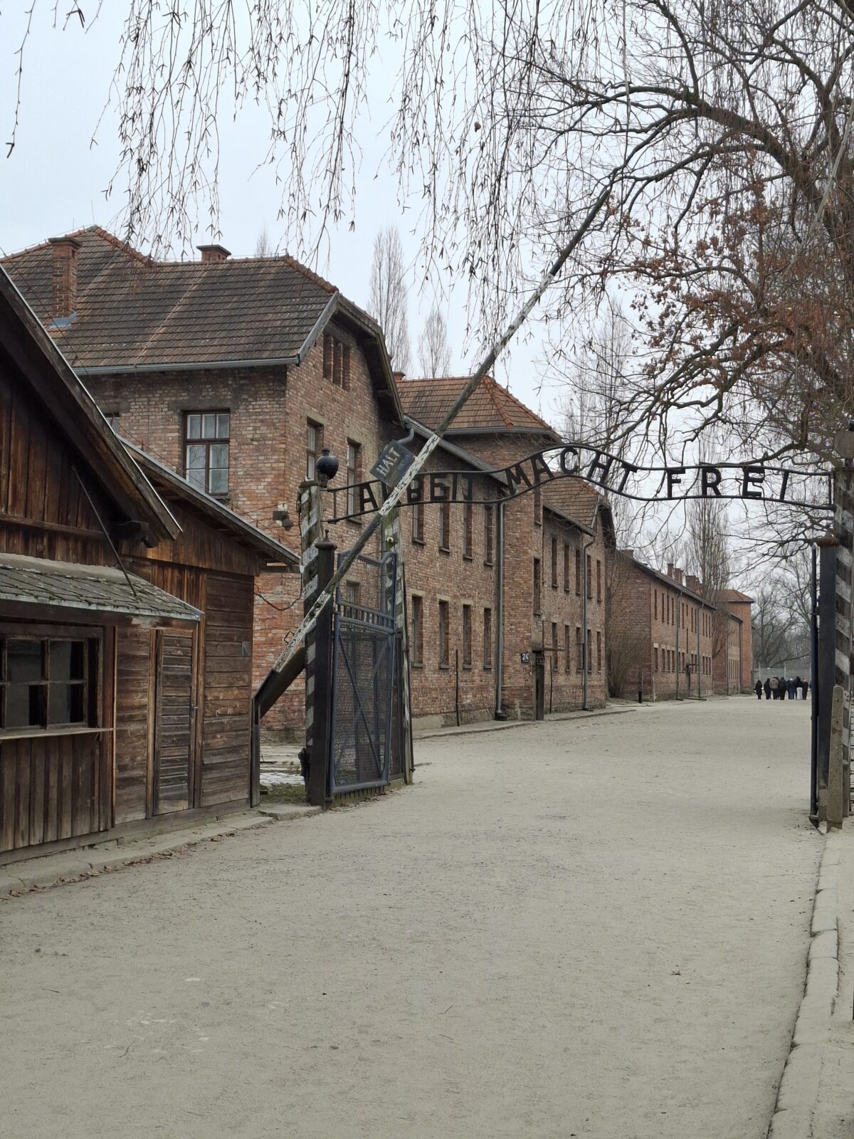 Das Bild zeigt den Eingangsbereich des Konzentrationslagers Auschwitz mit dem Schriftzug Arbeit macht frei sowie roten Backsteingebäuden und kahlen Bäumen an einem grauen Tag