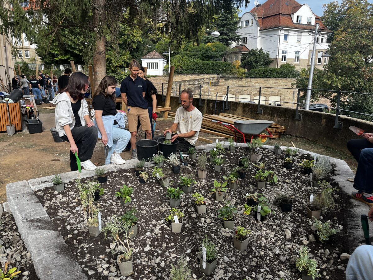 Menschen bepflanzen gemeinsam konzentriert ein steiniges Hochbeet im Garten
