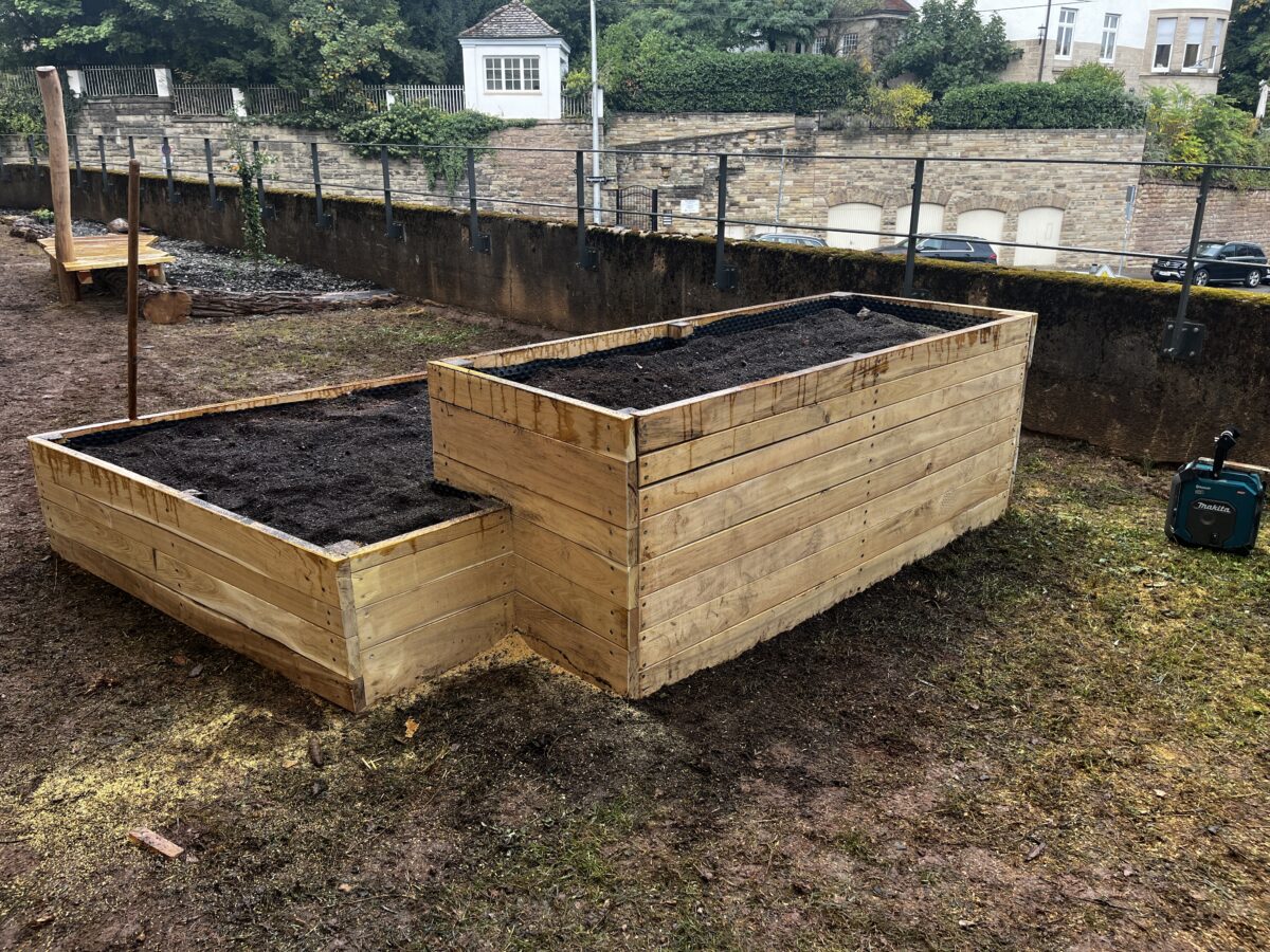 Zwei neue Hochbeete aus hellem Holz gefuellt mit dunkler Erde im Garten