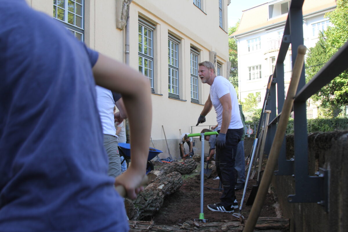 Blonder Mann im weissen Shirt mit Handschuhen arbeitet konzentriert im Garten