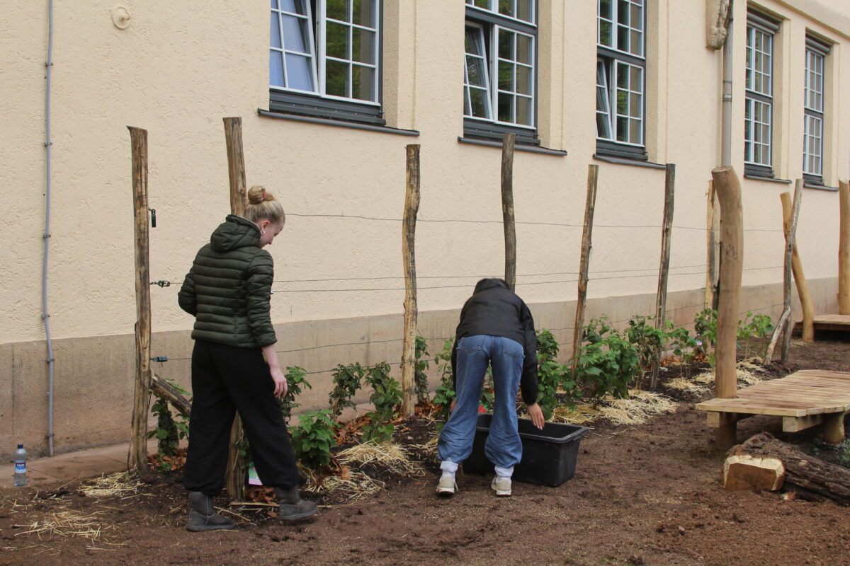 Zwei Jugendliche arbeiten konzentriert im Beet an einer Hauswand im Garten