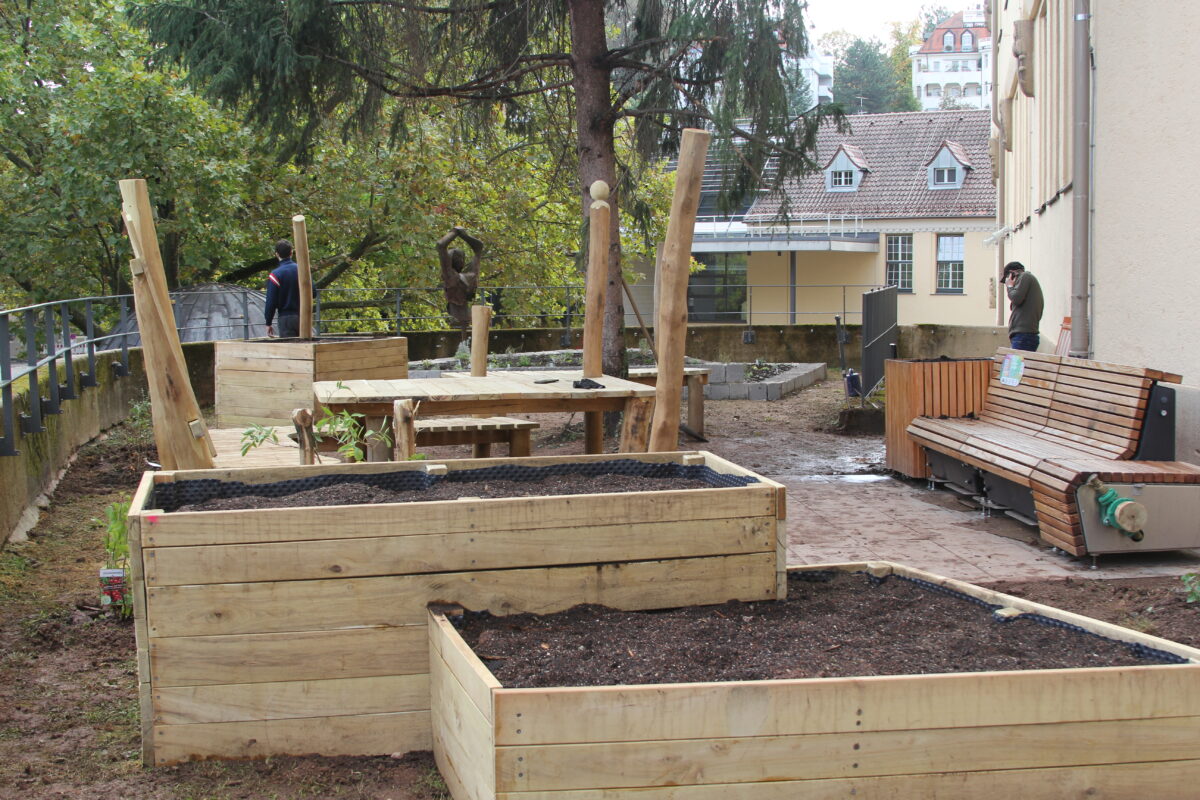 Neu angelegter Garten mit Hochbeeten aus Holz und einer Holzbank